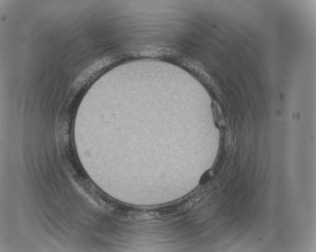 X0000082760683200702240105