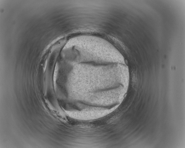 X0000082760684200702240105