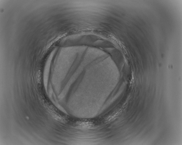 X0000082760689200702240105