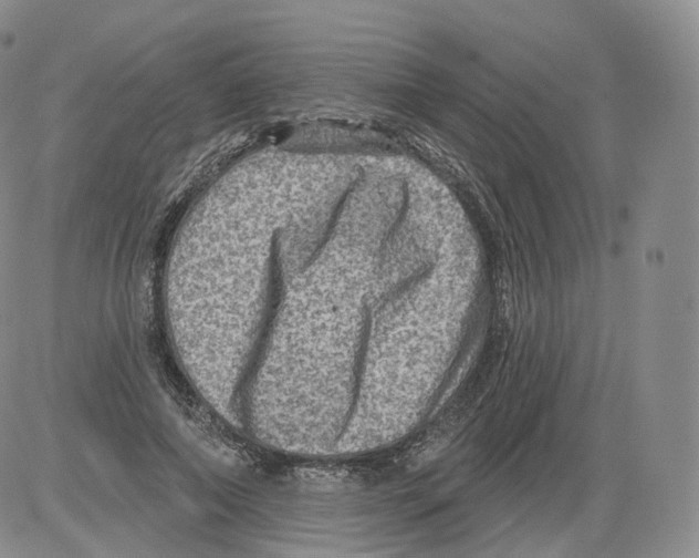 X0000082760690200702240105