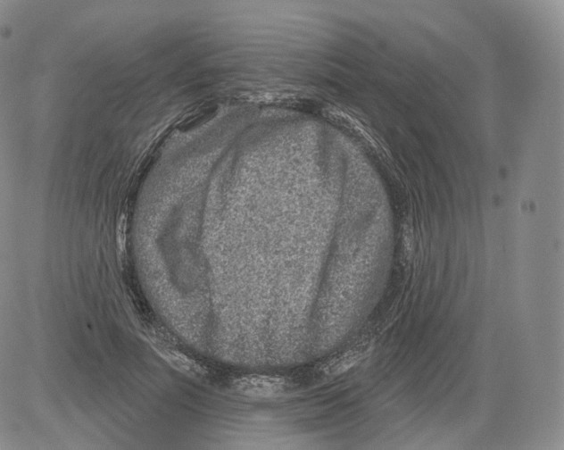 X0000082760691200702240105