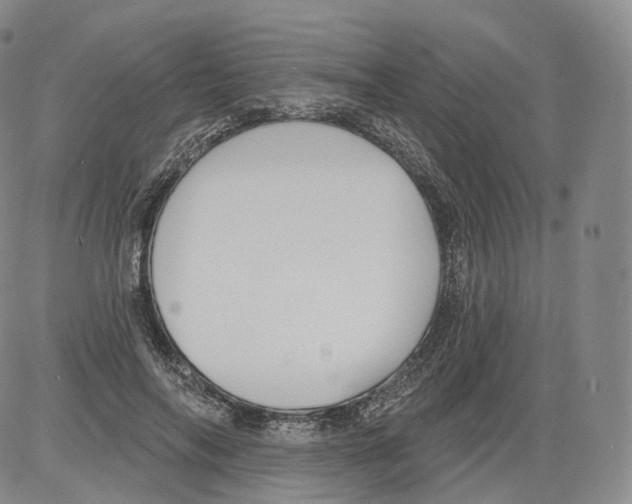 X0000082760694200702240105