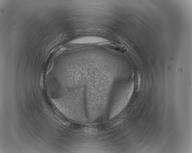 X0000082760696200702240105