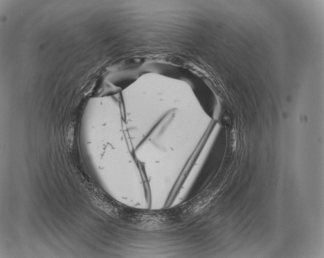 X0000082760697200702240105