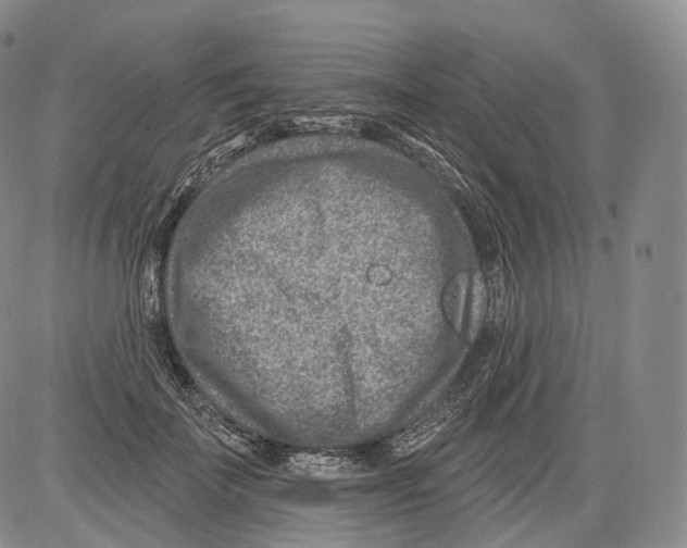 X0000082760699200702240105