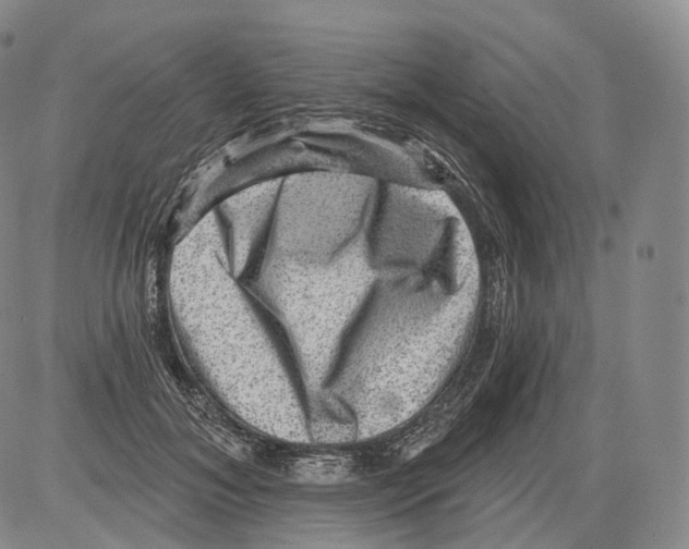 X0000082760700200702240105