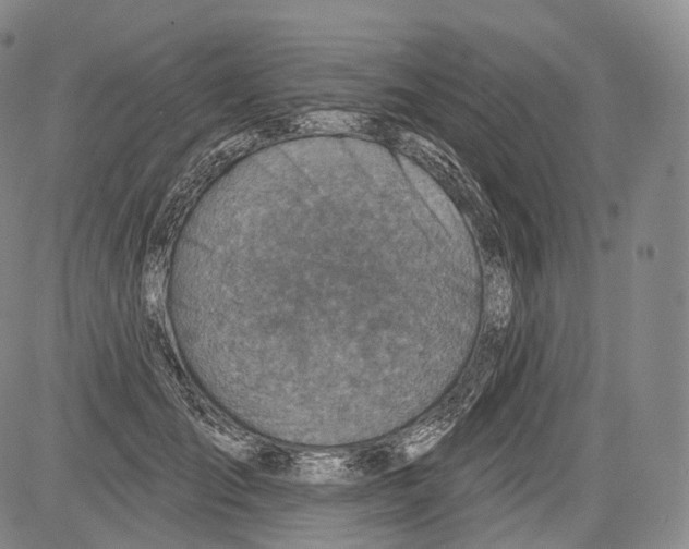 X0000082760701200702240105