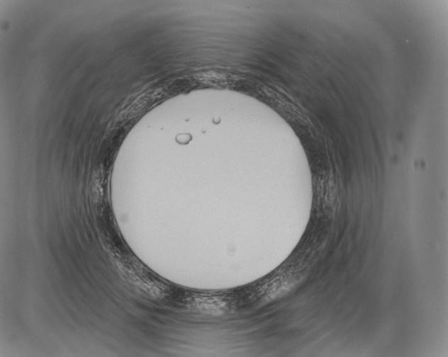 X0000082760702200702240105