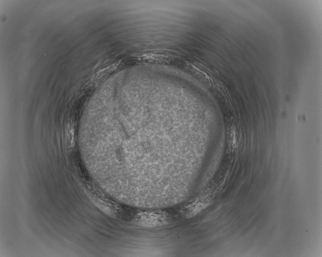 X0000082760703200702240105