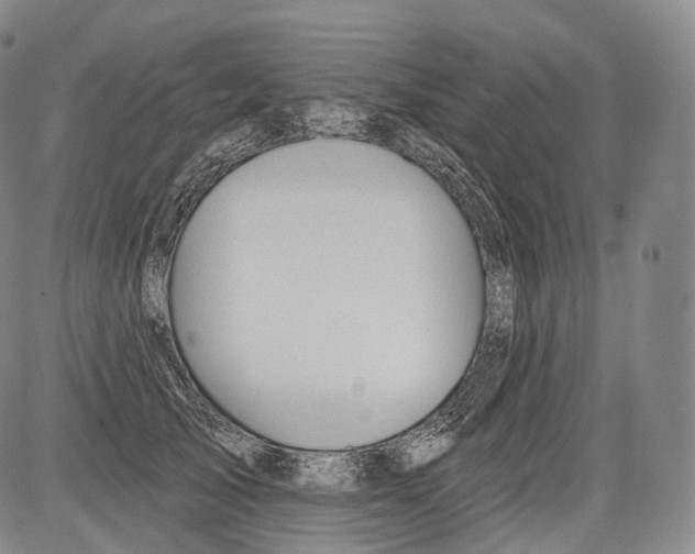 X0000082760705200702240105