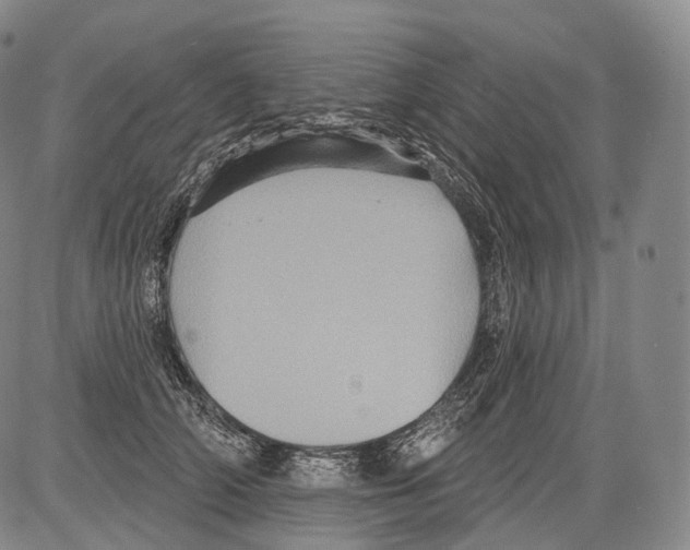 X0000082760706200702240105