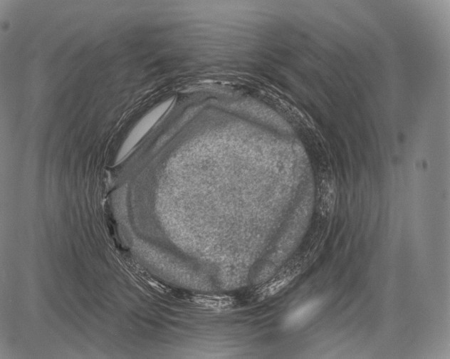 X0000082760707200702240105