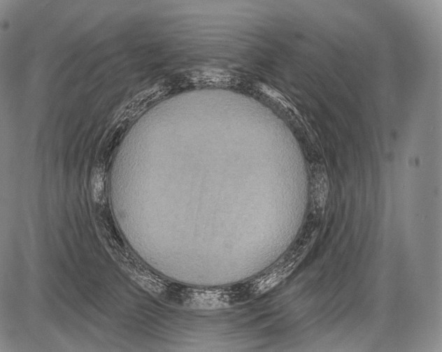 X0000082760709200702240105