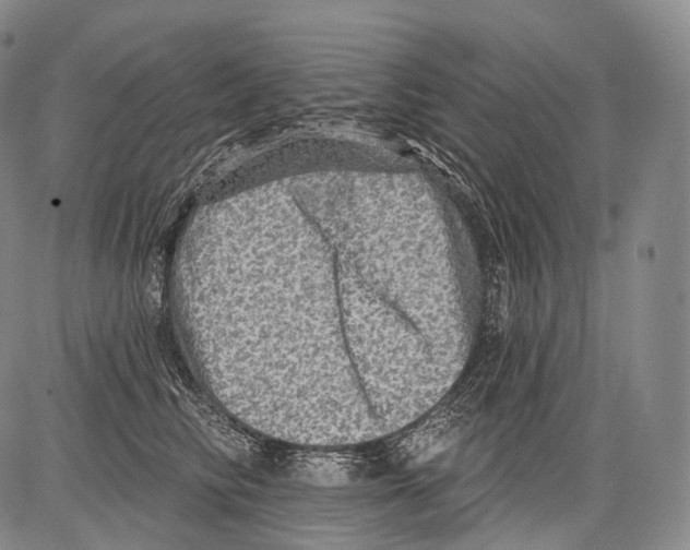 X0000082760710200702240105