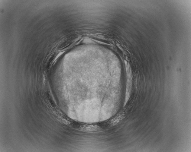 X0000082760716200702240104