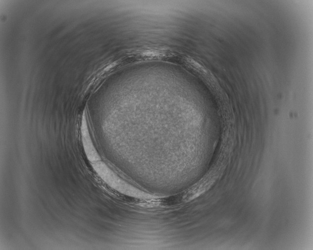 X0000082760720200702240104