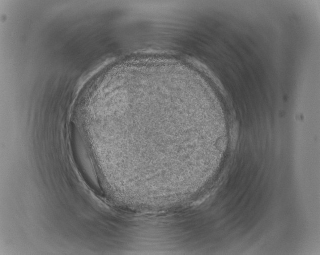 X0000082760721200702240104