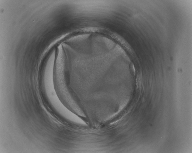 X0000082760722200702240104