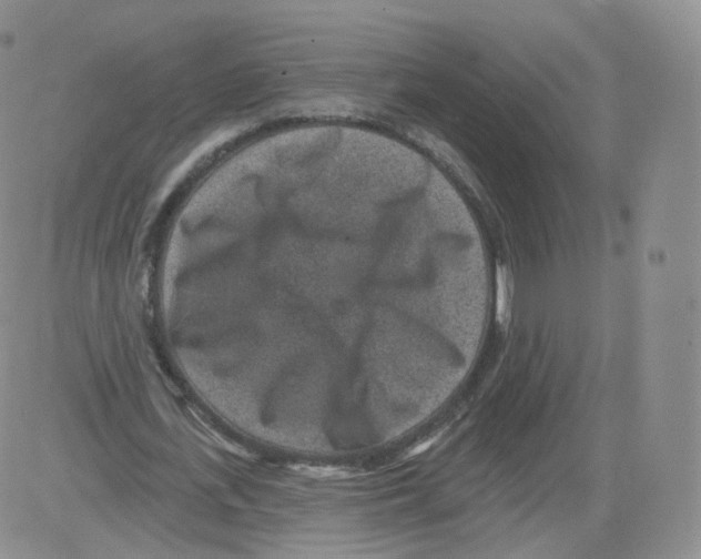 X0000082760723200702240104