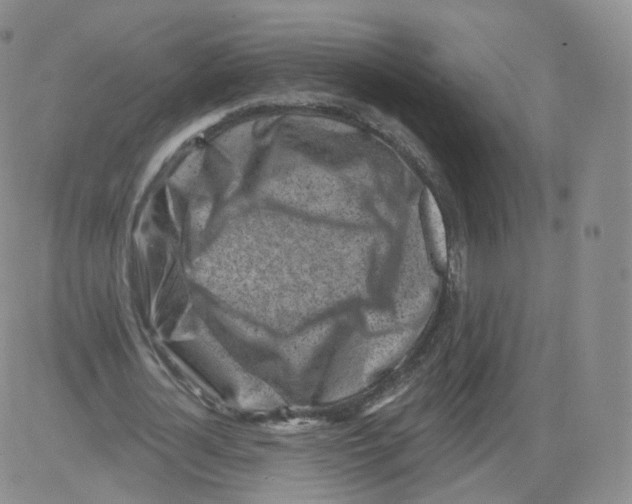 X0000082760724200702240104