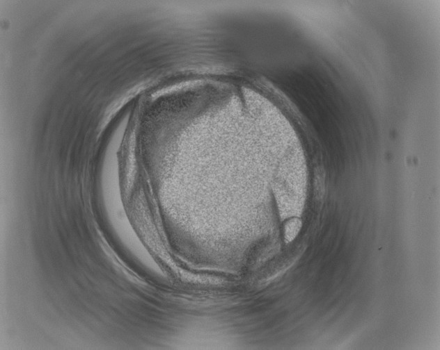 X0000082760725200702240104