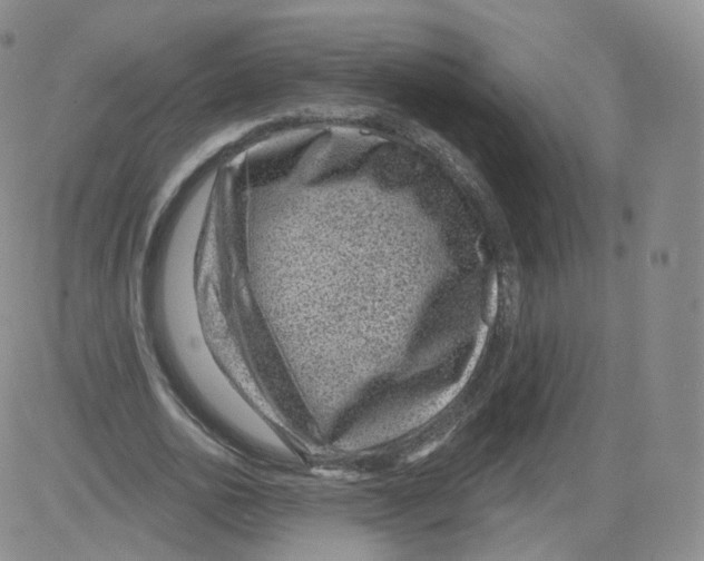 X0000082760726200702240104