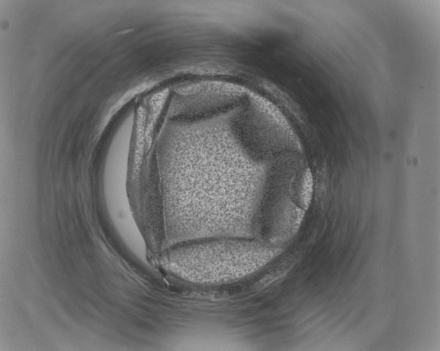 X0000082760727200702240104