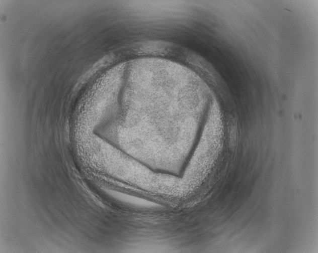 X0000082760729200702240104