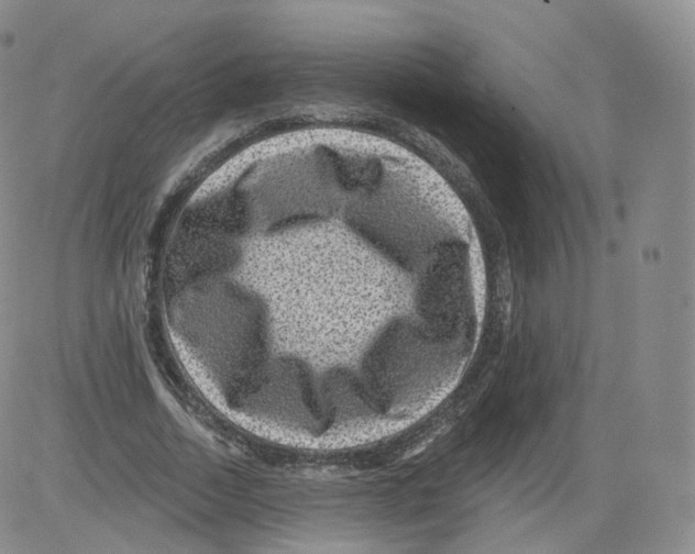 X0000082760730200702240104