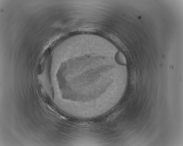 X0000082760731200702240104