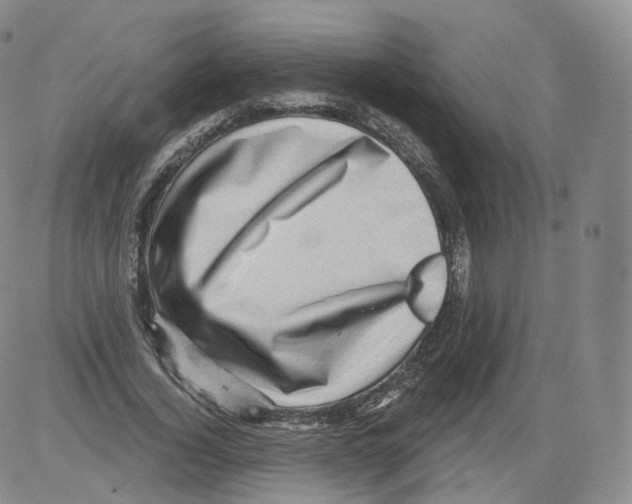 X0000082760732200702240104