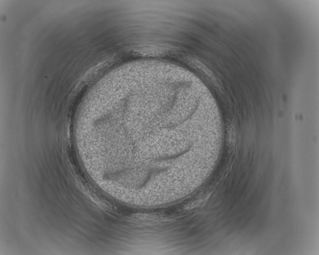 X0000082760733200702240104