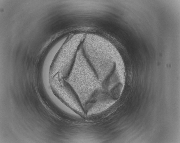 X0000082760734200702240104