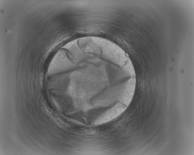 X0000082760735200702240104