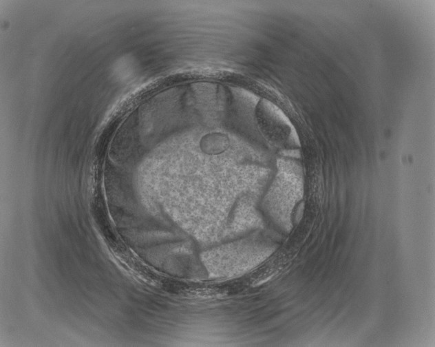 X0000082760736200702240104