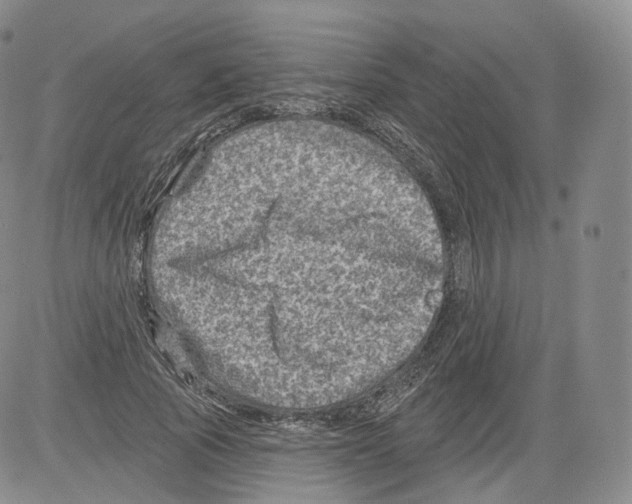 X0000082760737200702240104