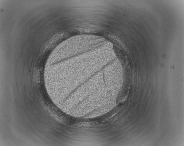 X0000082760738200702240104