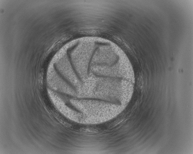 X0000082760739200702240104