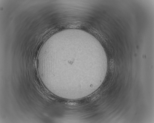 X0000082760741200702240104