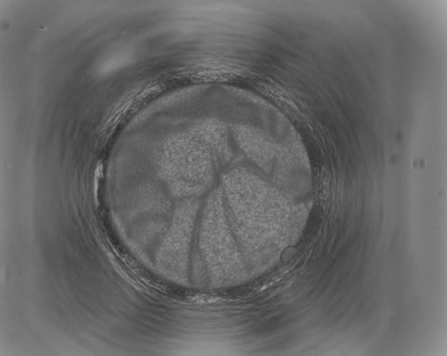 X0000082760742200702240104