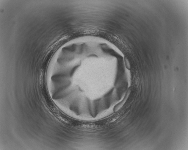 X0000082760744200702240104