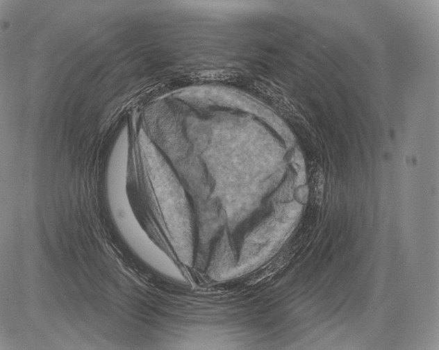 X0000082760746200702240104