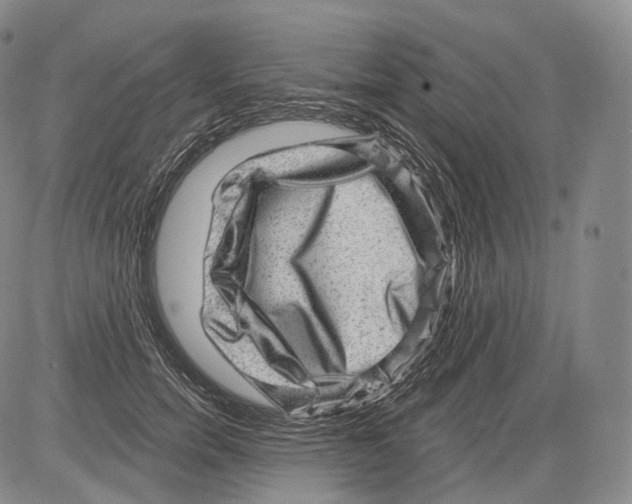 X0000082760750200702240104