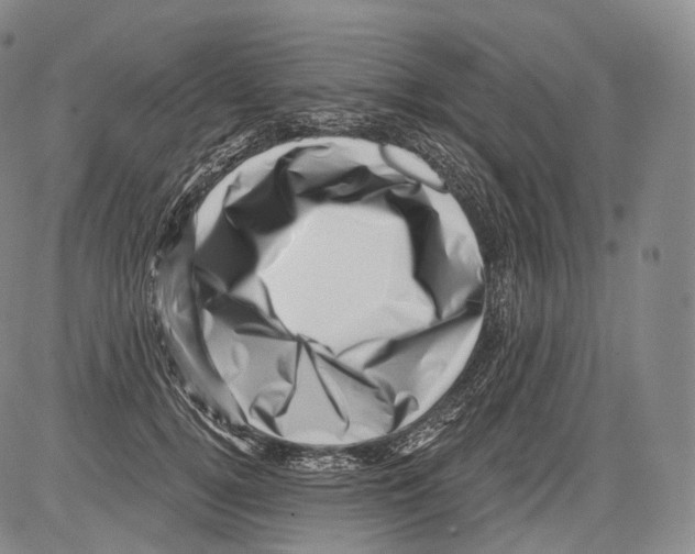 X0000082760752200702240104