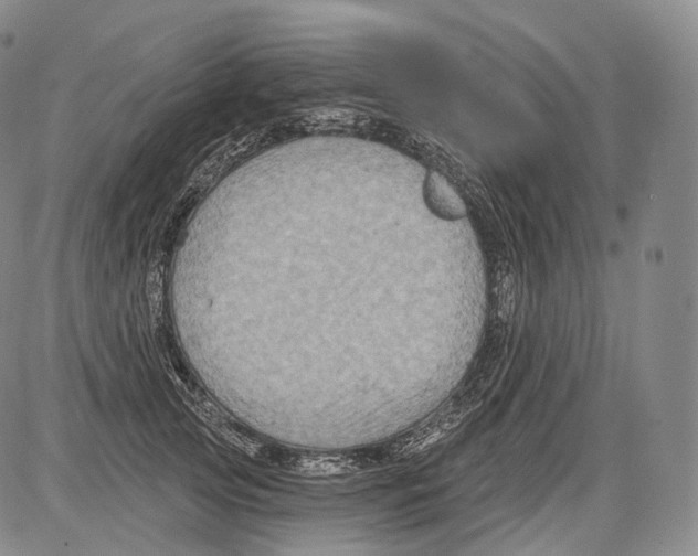 X0000082760753200702240104