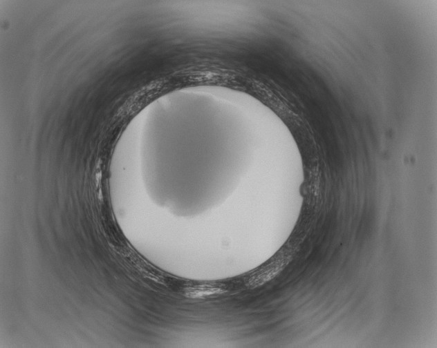 X0000082760754200702240104