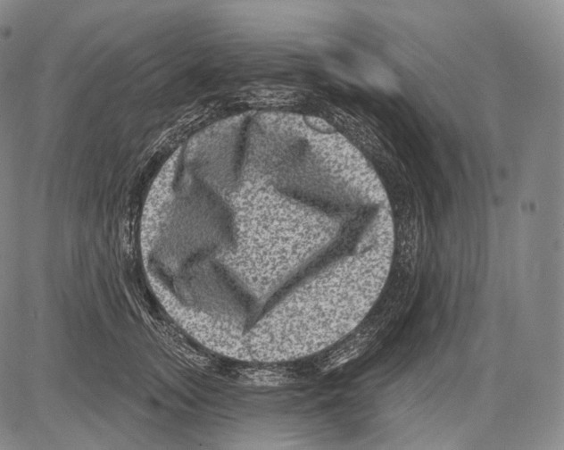 X0000082760755200702240104