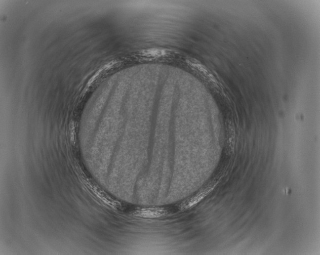 X0000082760758200702240104