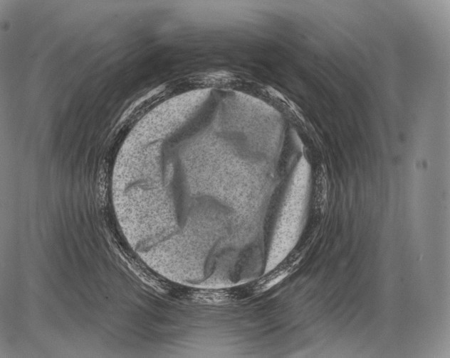 X0000082760762200702240104