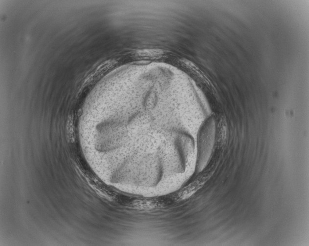 X0000082760764200702240104